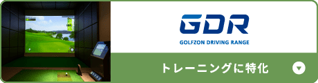 GOLFZON GDR